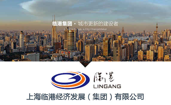  CRM Case Analysis of Lingang Group